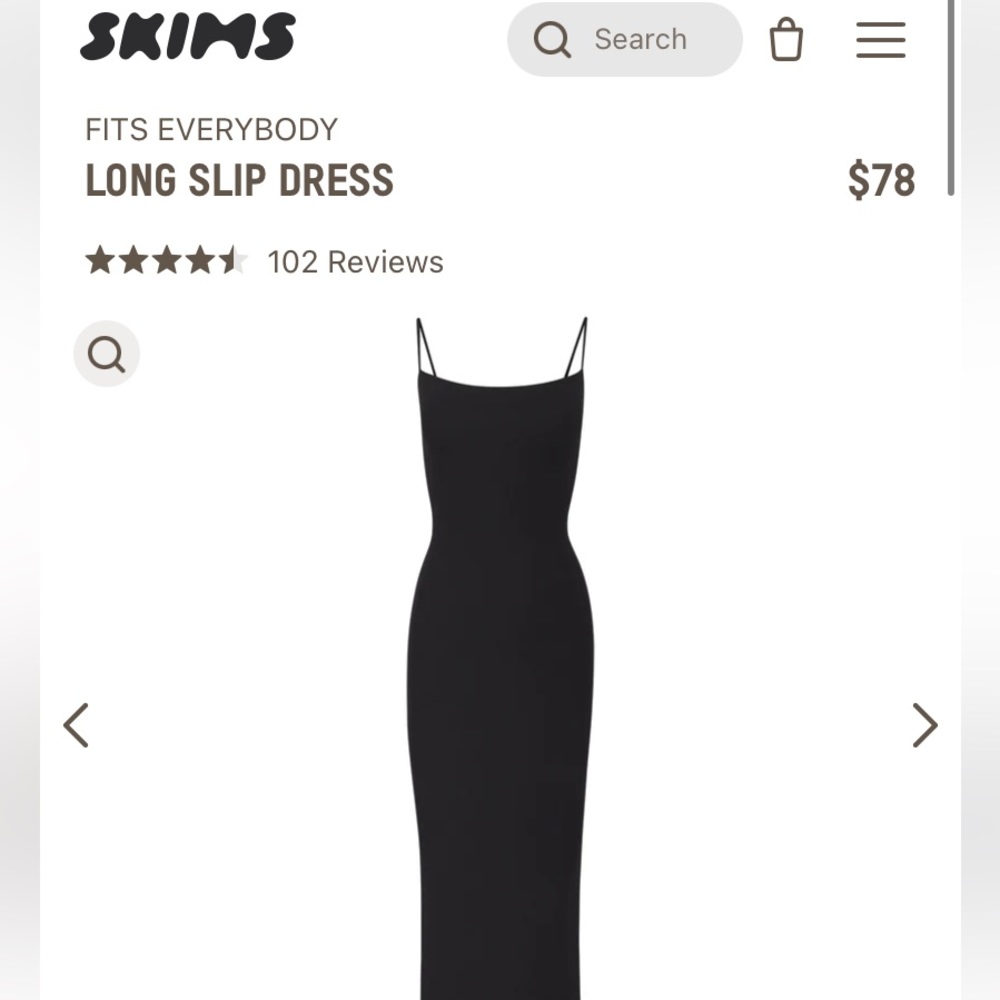 NWT Brown Skims Dress